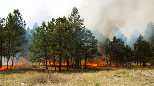 Wildfire (NPS, 2007)