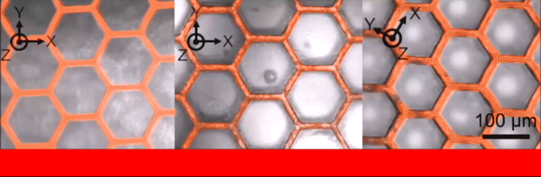 Micropillars made of light-responsive liquid crystal elastomer (LCE) change direction to "follow" light when illuminated from different directions, which could lead to more efficient solar panels. (Credit: Wyss Institute at Harvard University)