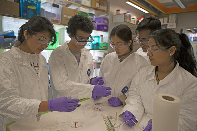 UTEC students learn how to use the equipment in the SEAS Active Learning Labs. (Photo by Adam Zewe/SEAS Communications)