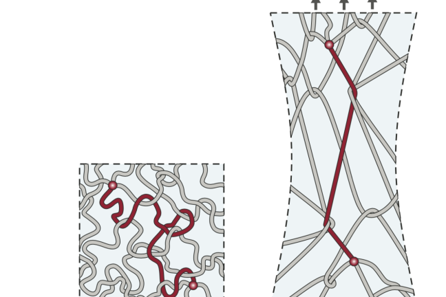 image of polymer entanglements