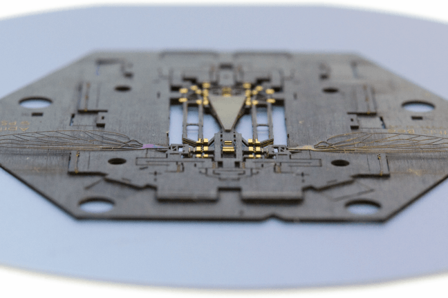 A small, hexagonal metal plate contains parts of a Robobee. 