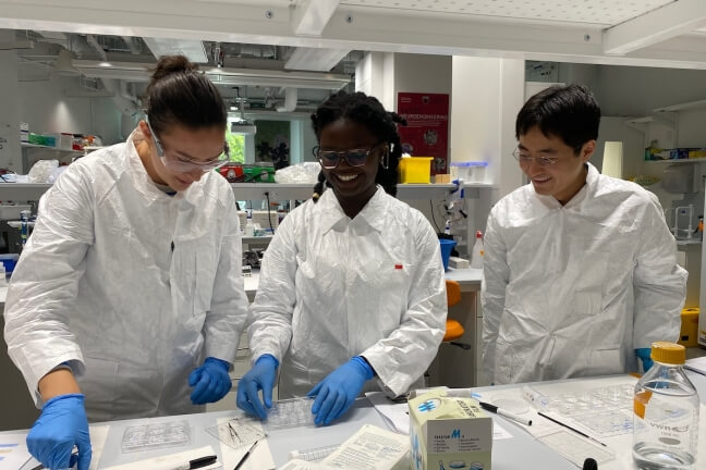 Students Kristin Otervik, Onovughakpor Otitigbe-Dangerfield, and Shikoh Hirabayashi prepare their brain sections for immunolabeling