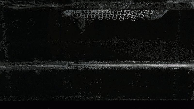 A flat lattice in water shape shifts into the face of 19th century mathematician Carl Friederich Gauss