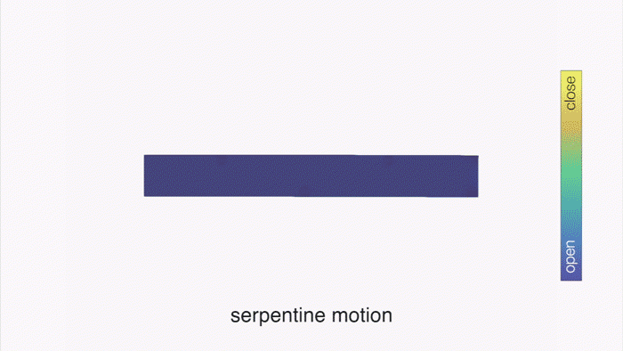 Model of a transition wave