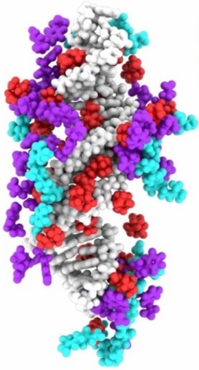 image of molecule 