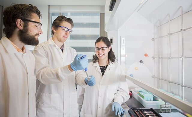 Students working on research in the Rafat Lab