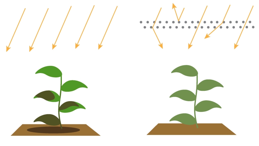 illustration of sunlight path