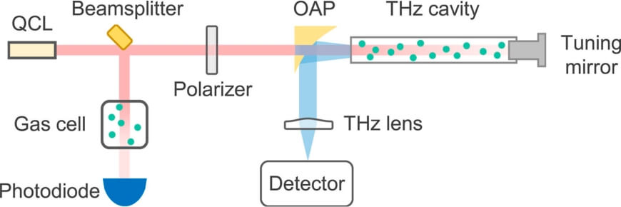 Schematic of the experimental setup