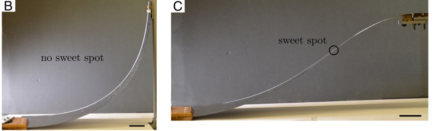 image of a saw curved into a J-shape on the left and an S-shape on the right