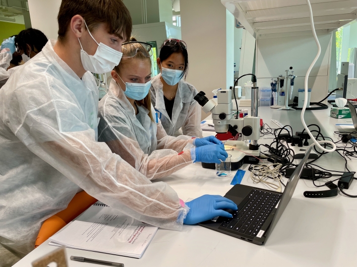 Thomas Allen Letcher, Lana Gibbs and Bori Kim observe laminar flow