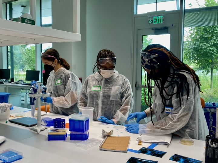 Aimi Nosa-Uwiafo, Bianca Lobban and Maxine Kamen van Westen plate E. coli