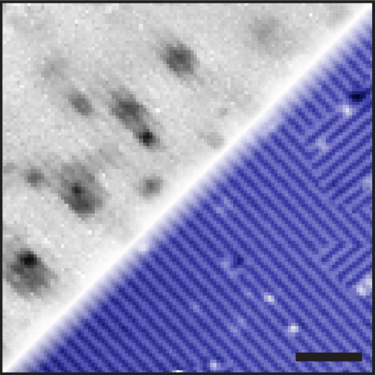 High-resolution image of an iron substitution