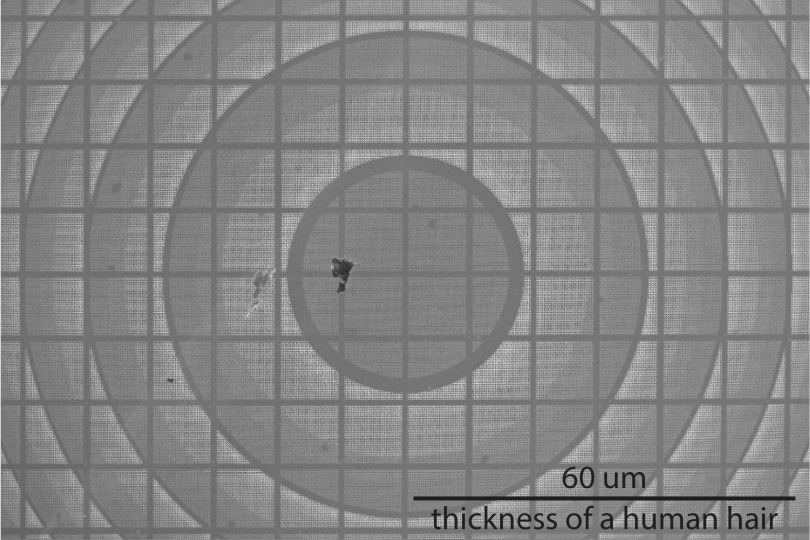 lens rect scale