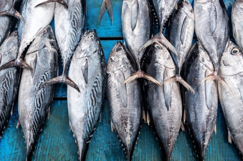 tuna at a fish stall 