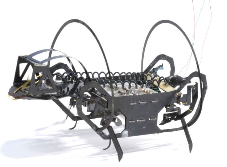 detail view of springtail-inspired microrobot